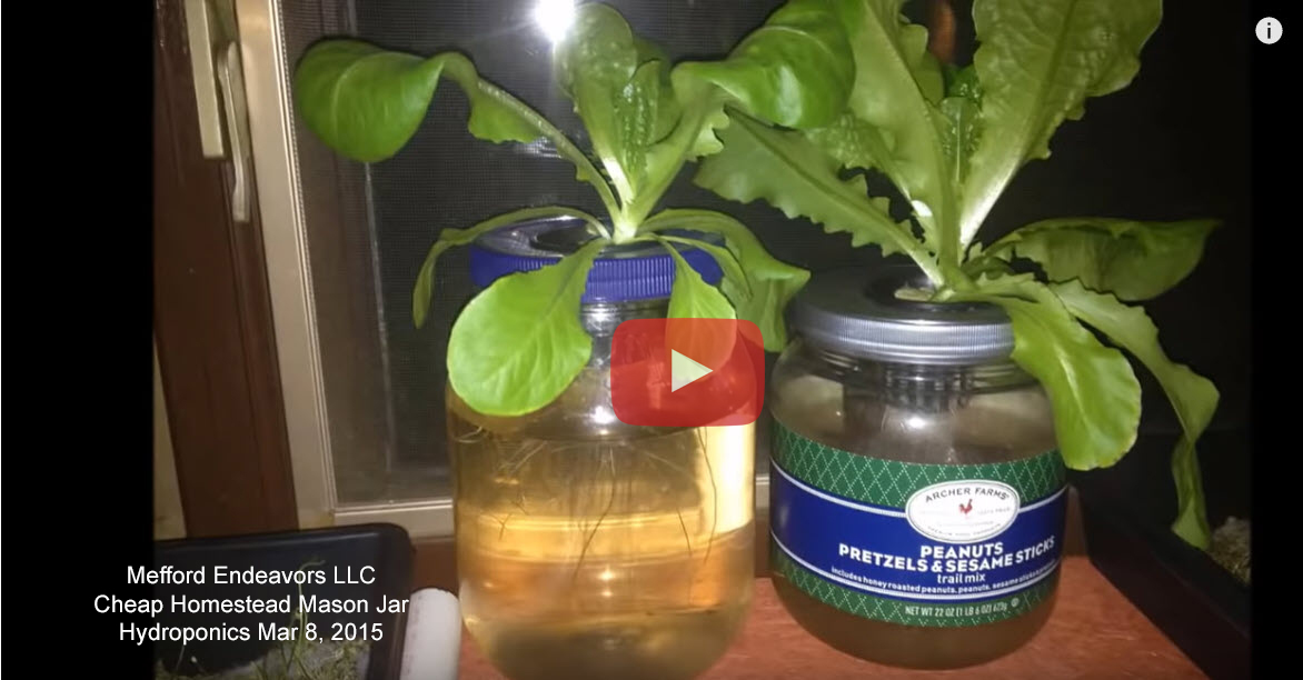 DIY Hydroponics