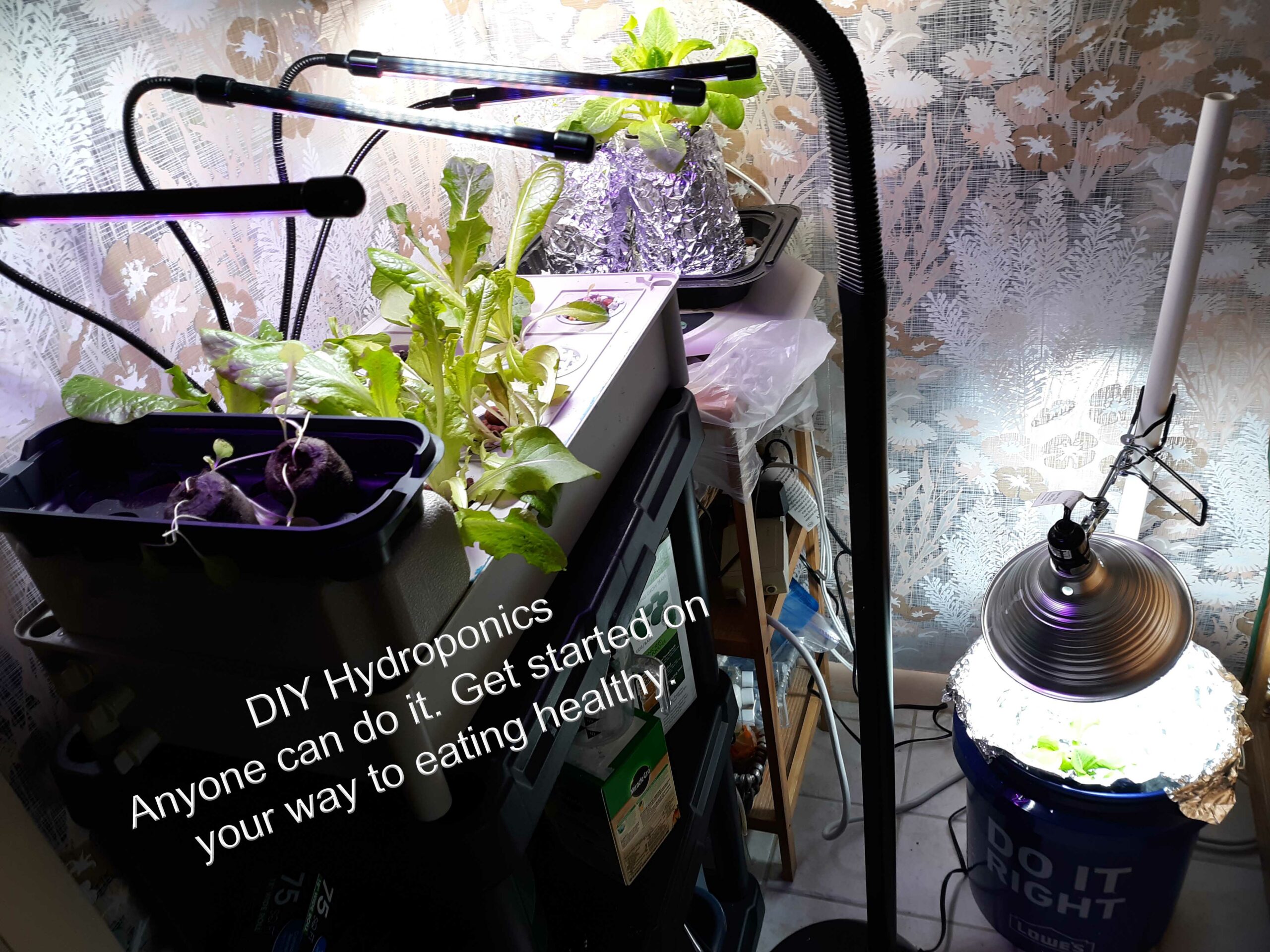 DIY Hydroponics Anyone Can do it