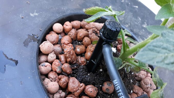 Drip Bucket Irrigation