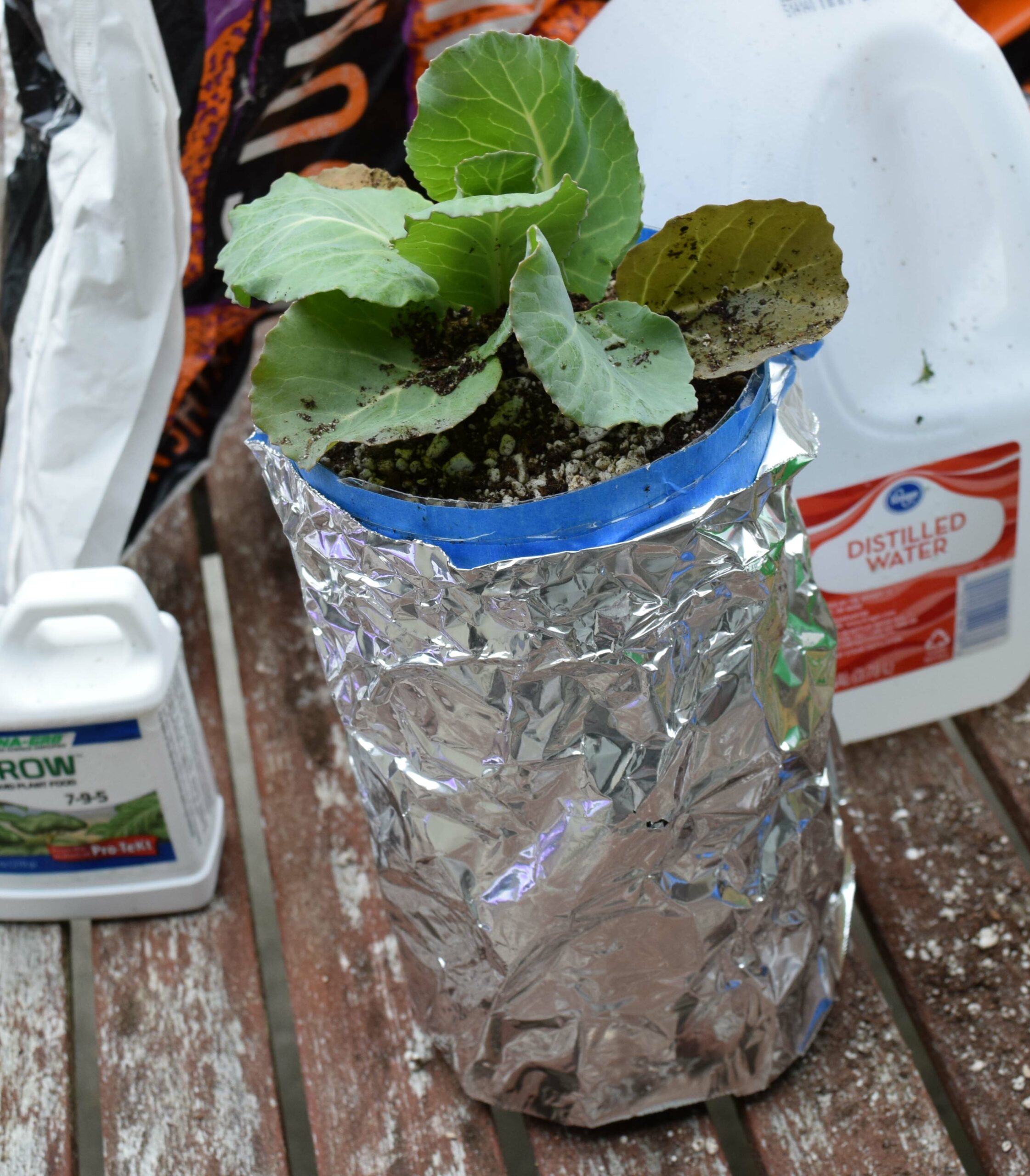 Plastic Bottle Garden