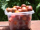 Hydroponic Cherry Tomatoes