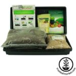 Wheat grass grow kit