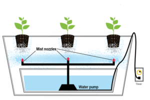 Aeroponics