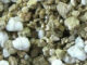 perlite-and-vermiculite