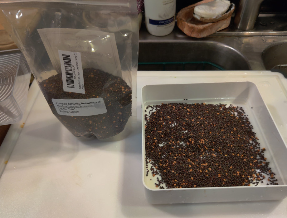 Heirloom Sprouting Mix