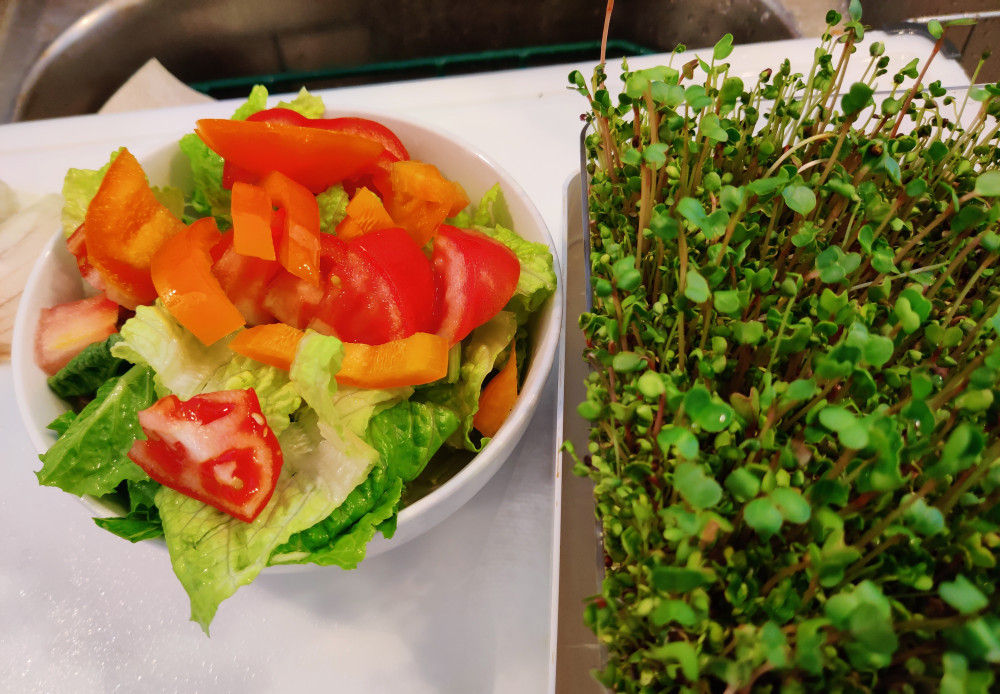 Salad and sprouts